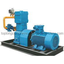 CNG Compressor LPG Compressor LNG Compressor Nitrogen Compressor (Zw-0.8/10-16)